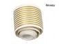 Preview: Linierstreifen Liniersatz Oldtimer Jawa RT SR2 passend für MZ 2,0 mm gold Preview: Linierstreifen Liniersatz Oldtimer Jawa RT SR2 passend für MZ 2,0 mm gold