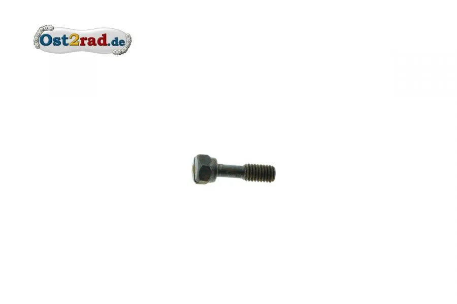 Befestigungsschraube Lampenring IWL SR56 SR59 Pitty RT125 Befestigungsschraube Lampenring IWL SR56 SR59 Pitty RT125