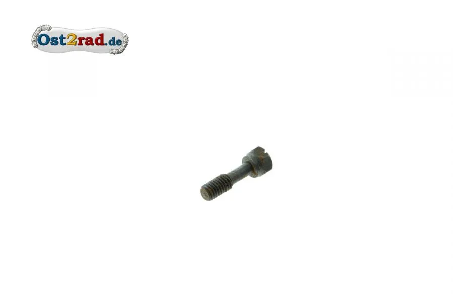 Befestigungsschraube Lampenring IWL SR56 SR59 Pitty RT125 Befestigungsschraube Lampenring IWL SR56 SR59 Pitty RT125