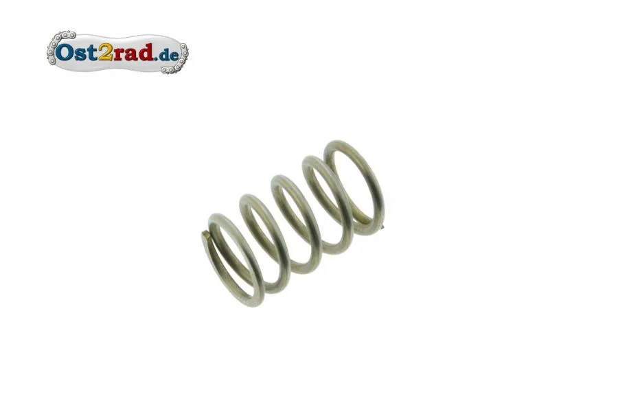 Feder für Regulierschraube Oldtimer Vergaser passend für MZ Simson BK IWL Feder für Regulierschraube Oldtimer Vergaser passend für MZ Simson BK IWL