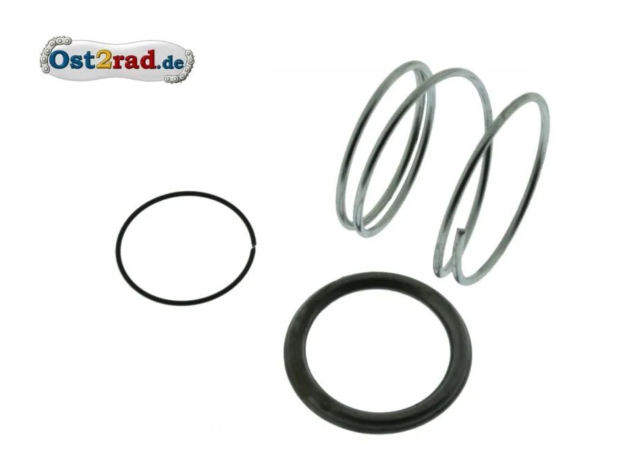 Set Kickstarterradbefestigung passend für RT ETZ TS ES ETS 125 150 IWL Set Kickstarterradbefestigung passend für RT ETZ TS ES ETS 125 150 IWL