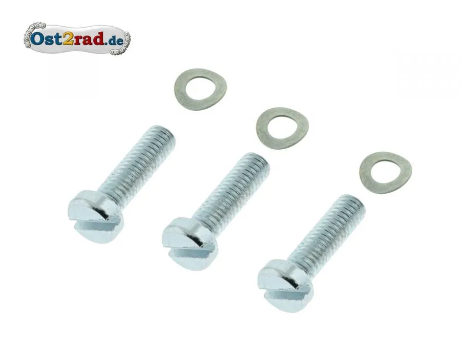 Set Schrauben und Federscheiben Zündscholssbefestigung Simson 3x5 Edelstahl Set Schrauben und Federscheiben Zündscholssbefestigung Simson 3x5 Edelstahl