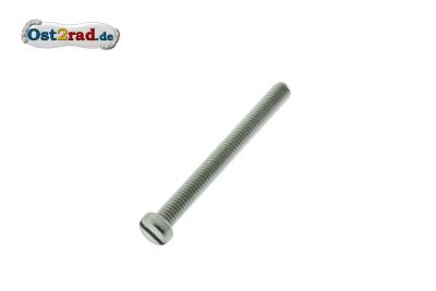 Vis tête fendue M6 x 45 Acier inox